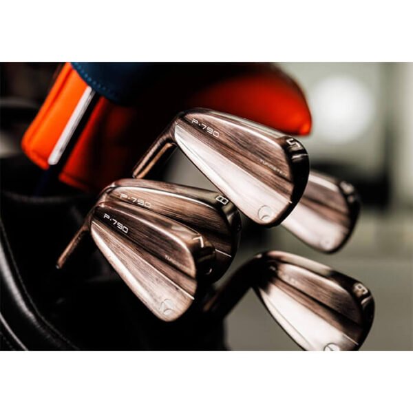 TaylorMade P790 Iron Set